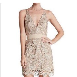 Dress the population Ava lace dress